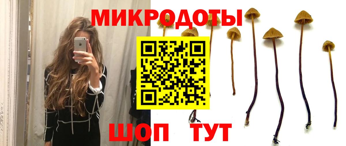 Галлюциногенные грибы Psilocybe  Вход с VPN  Галлюциногенные грибы Magic Shrooms  Камень-на-Оби 